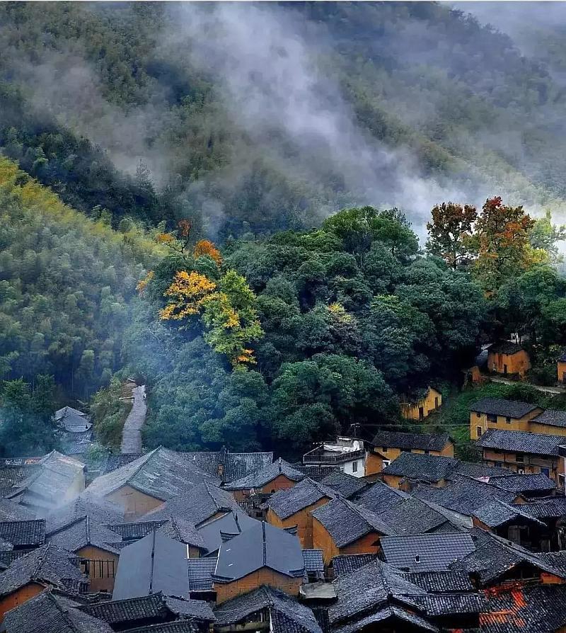 悬案：刹那惊颤